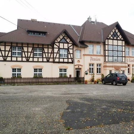 Penzion U Zamku Habartov Exterior foto